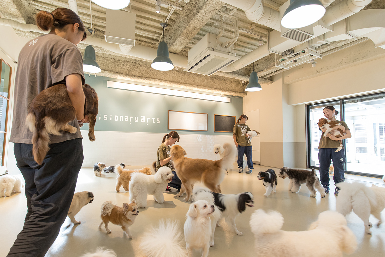 専門学校ビジョナリーアーツ[ペット学科／動物看護学科] の特長 2