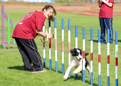 東京愛犬専門学校 の特長 3